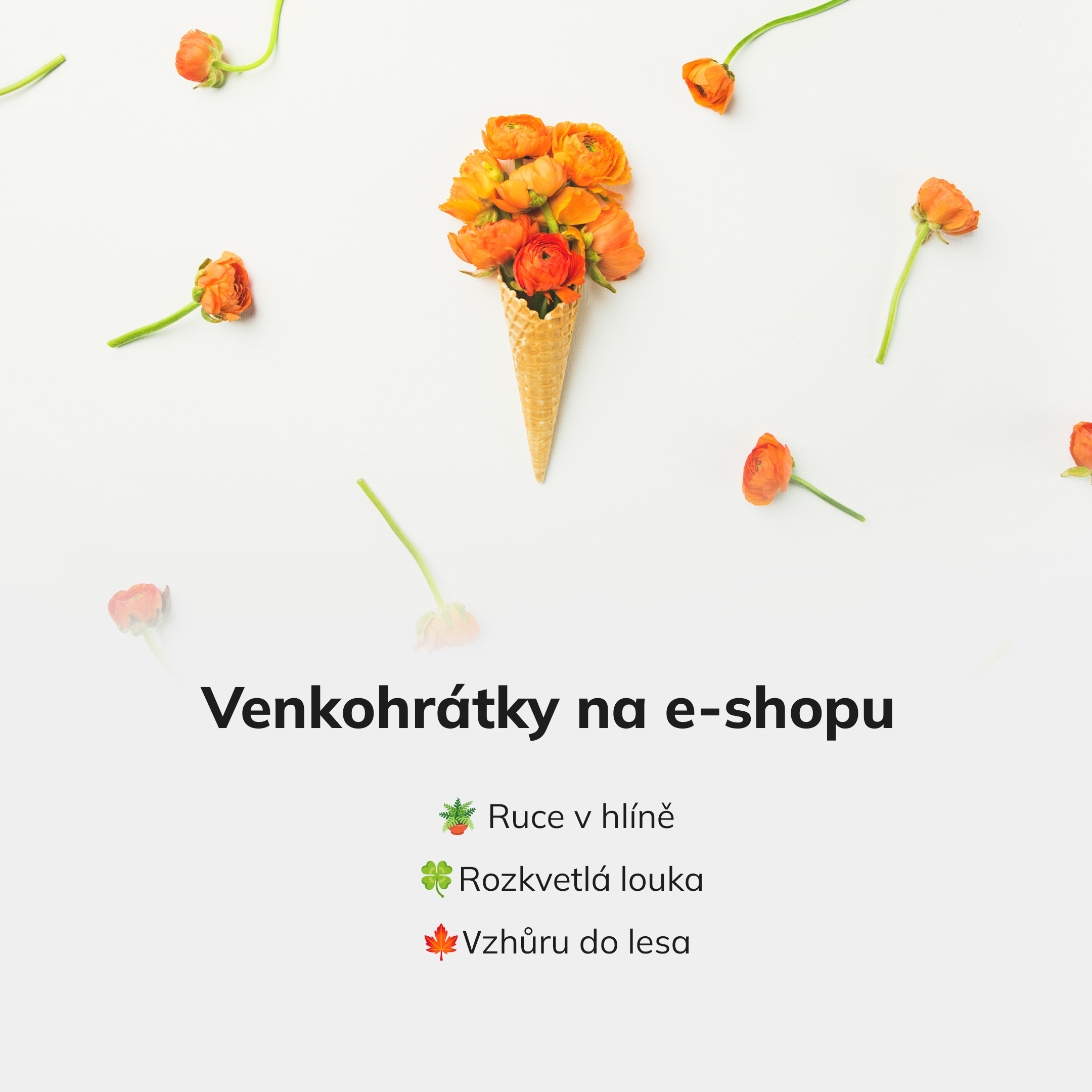 venkohratky-popis